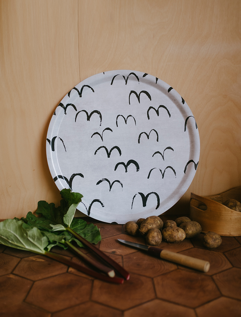 BIRD TRAY