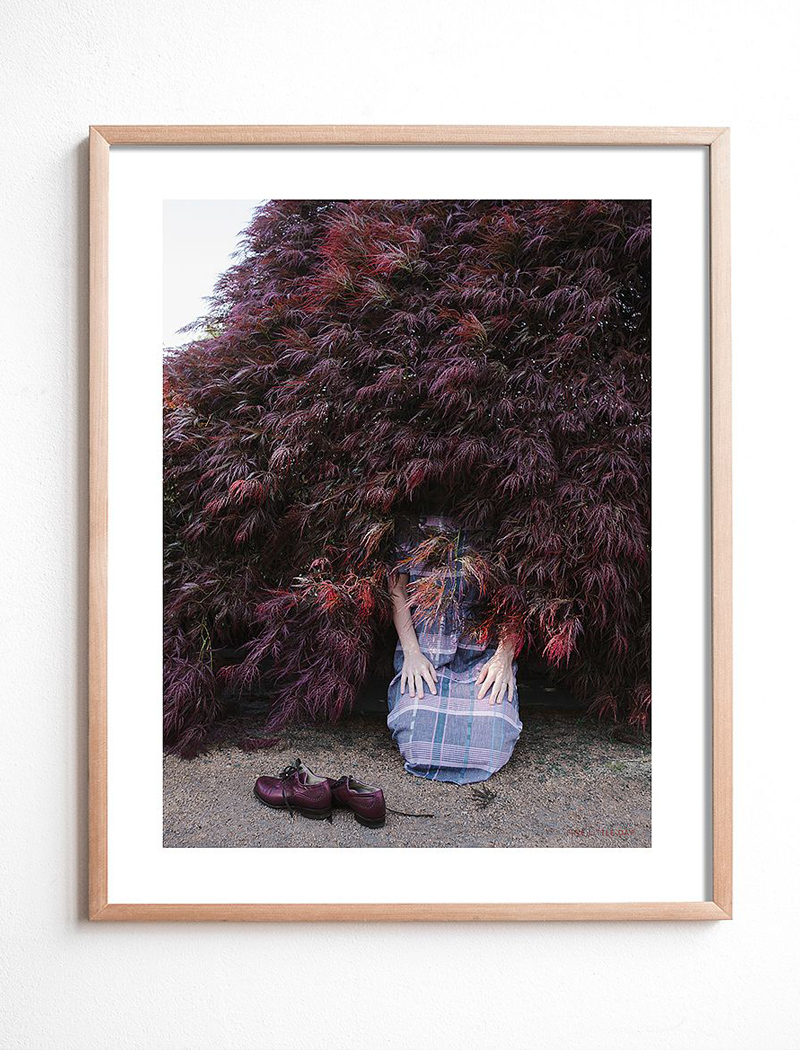 I Found a Bush Where I&apos;ll Live Now Poster
