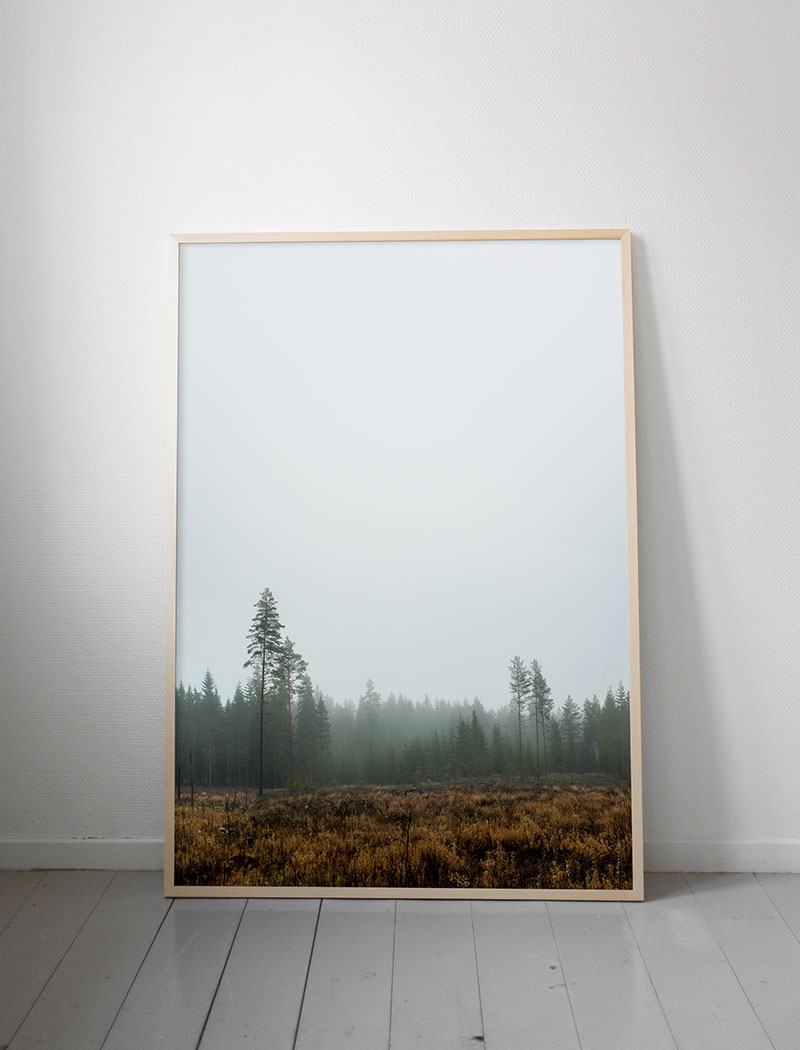 Skog Poster