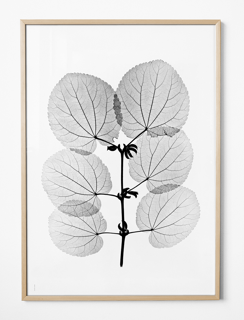 KATSURA POSTER
