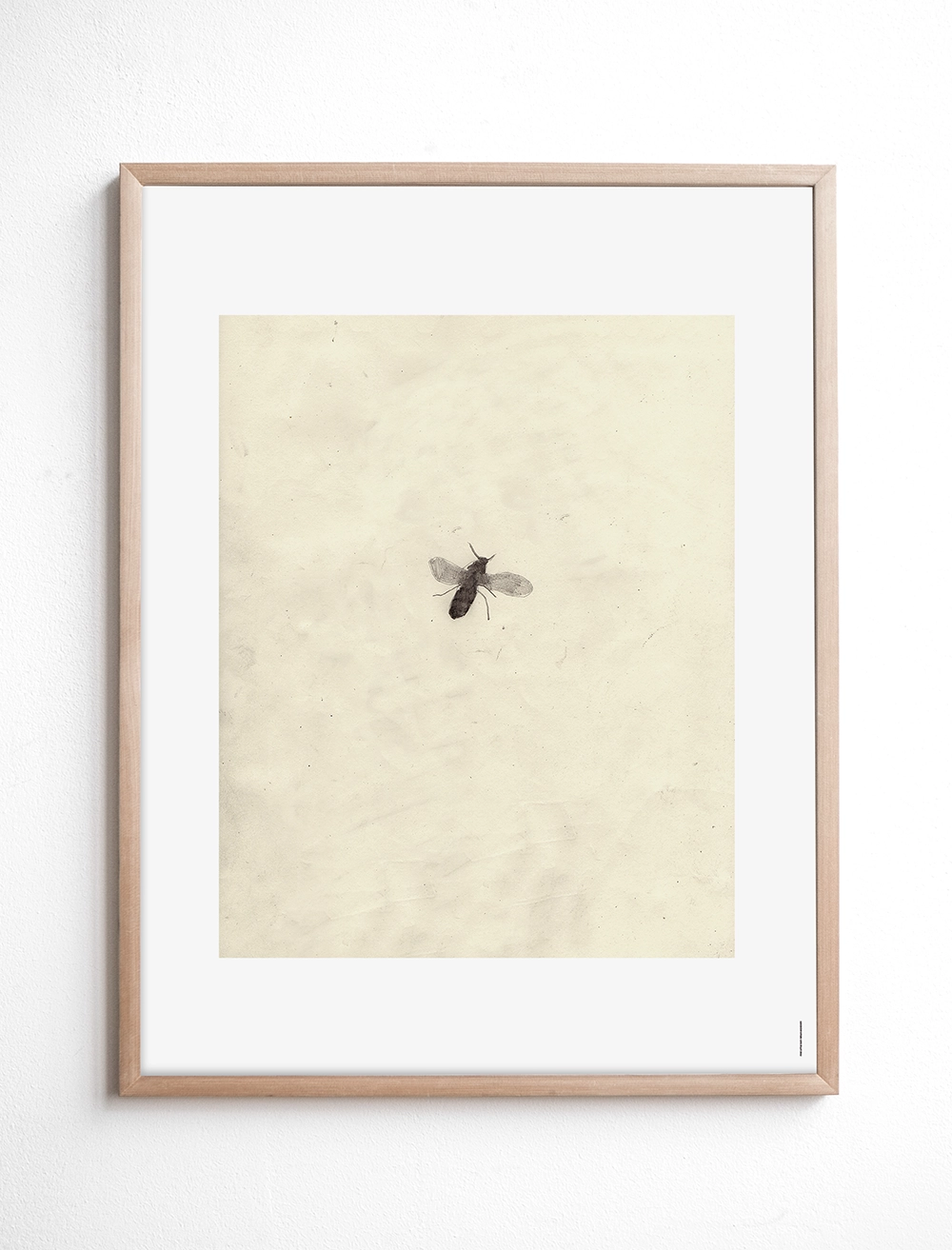FLY POSTER