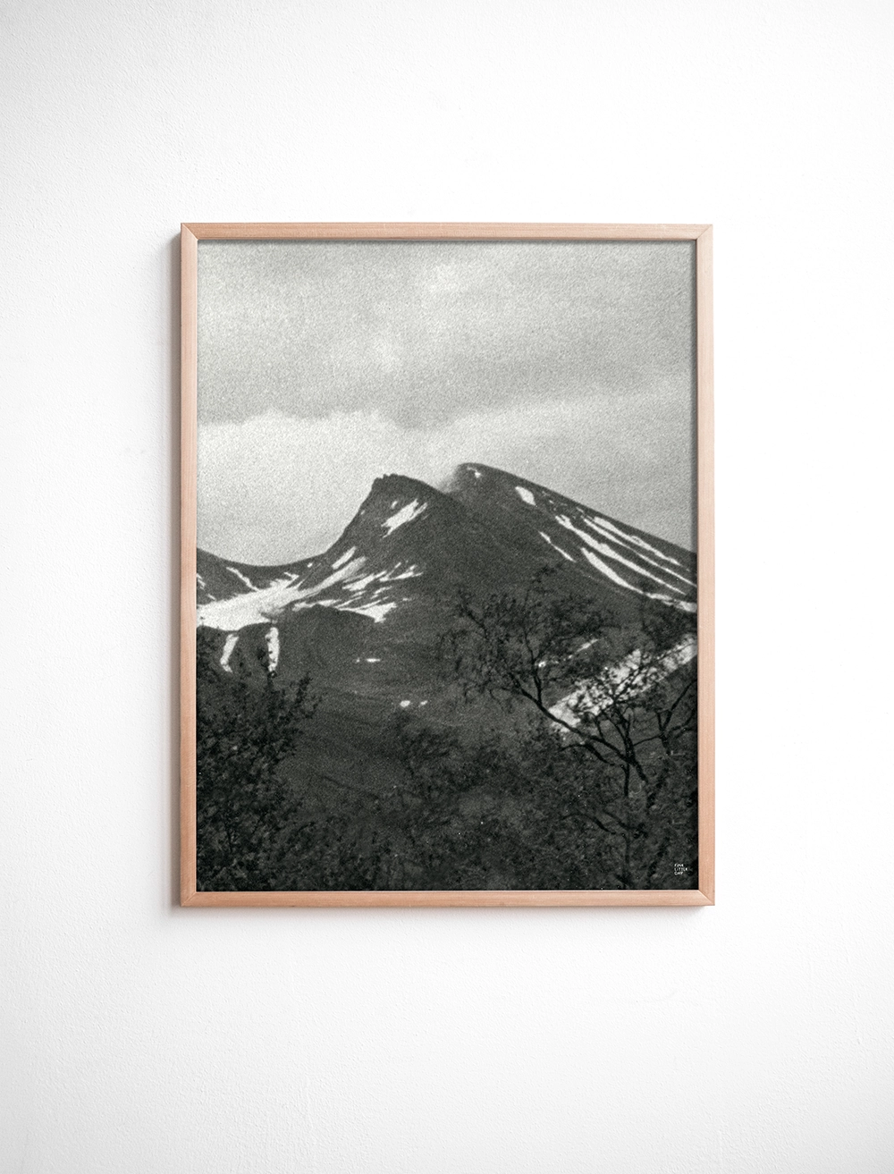 UP POSTER 40x50 cm